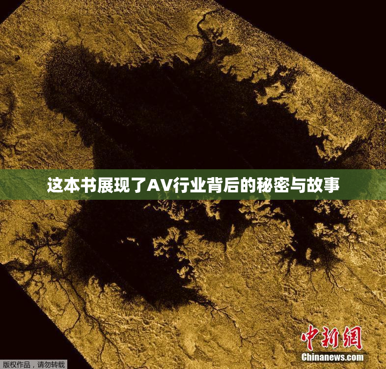这本书展现了AV行业背后的秘密与故事