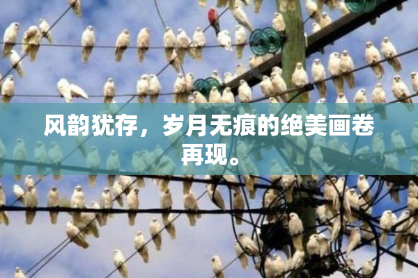 风韵犹存，岁月无痕的绝美画卷再现。