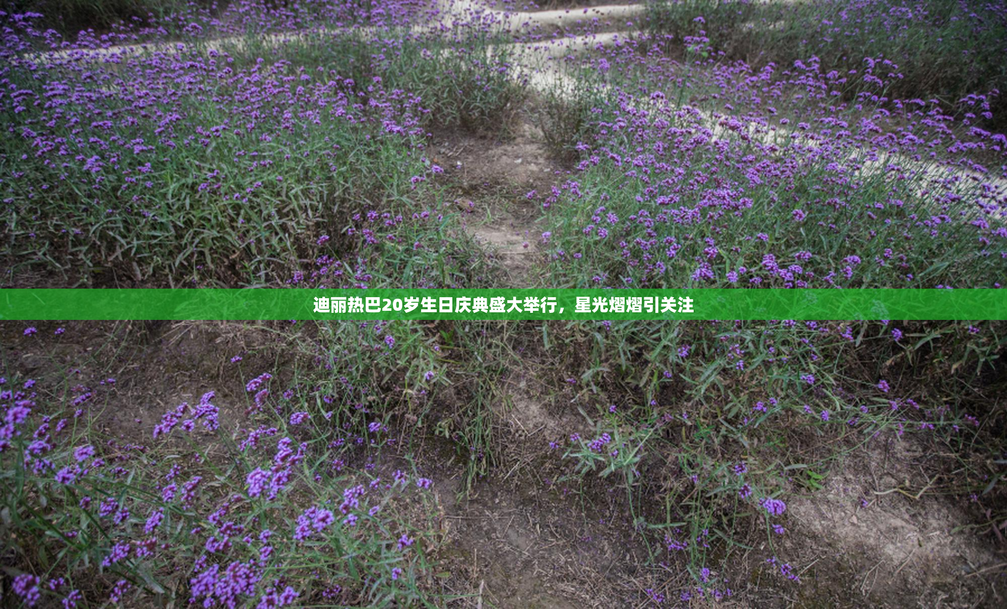 迪丽热巴20岁生日庆典盛大举行，星光熠熠引关注