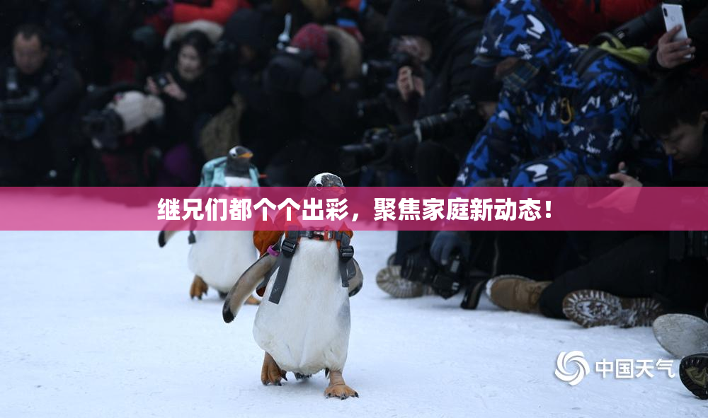 继兄们都个个出彩，聚焦家庭新动态！