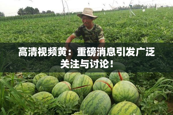 高清视频黄：重磅消息引发广泛关注与讨论！
