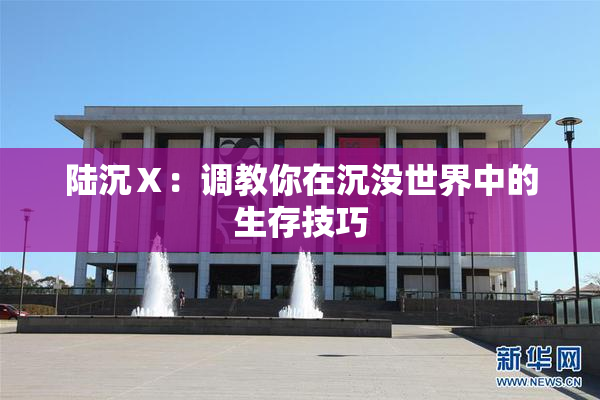 陆沉Ⅹ：调教你在沉没世界中的生存技巧