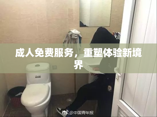 成人免费服务，重塑体验新境界