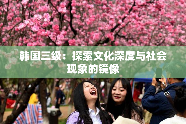 韩国三级：探索文化深度与社会现象的镜像