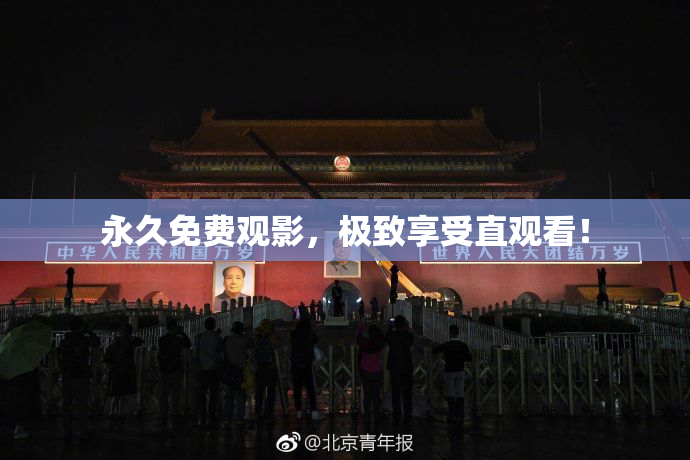 永久免费观影，极致享受直观看！