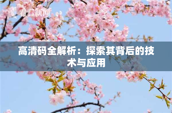 高清码全解析：探索其背后的技术与应用