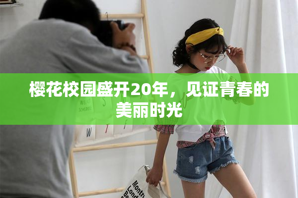 樱花校园盛开20年，见证青春的美丽时光