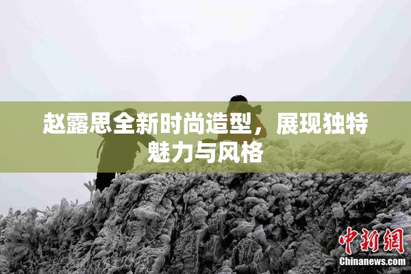 赵露思全新时尚造型，展现独特魅力与风格