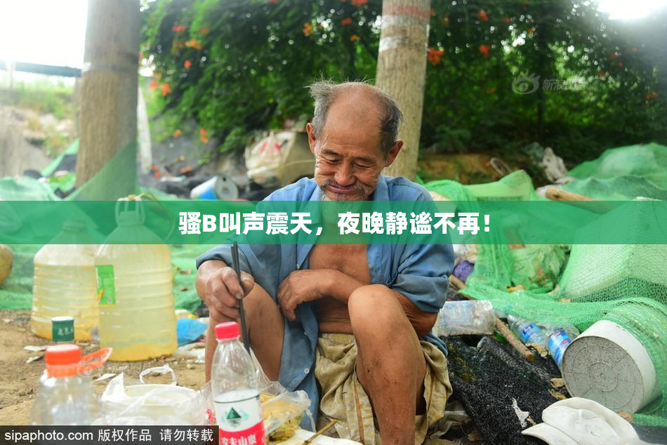 骚B叫声震天，夜晚静谧不再！