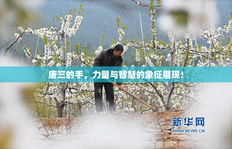 唐三的手，力量与智慧的象征展现！