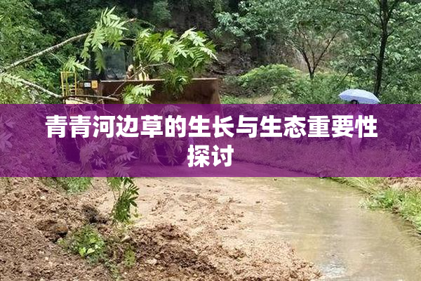 青青河边草的生长与生态重要性探讨