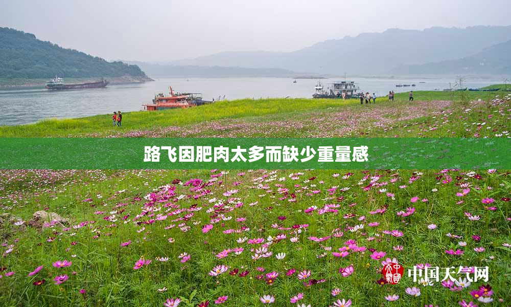 路飞因肥肉太多而缺少重量感