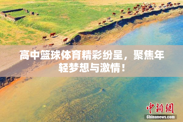 高中篮球体育精彩纷呈，聚焦年轻梦想与激情！