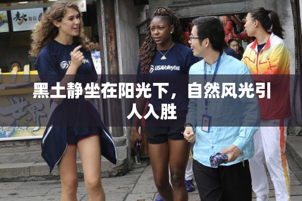 黑土静坐在阳光下，自然风光引人入胜