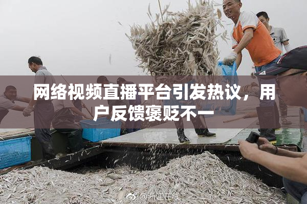 网络视频直播平台引发热议，用户反馈褒贬不一