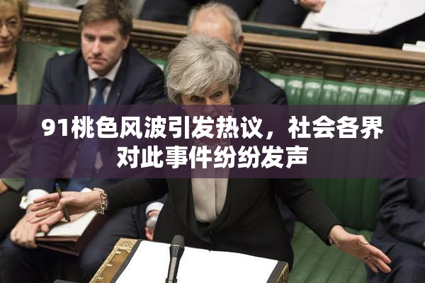 91桃色风波引发热议，社会各界对此事件纷纷发声
