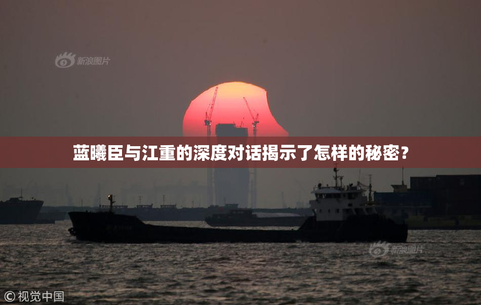 蓝曦臣与江重的深度对话揭示了怎样的秘密？