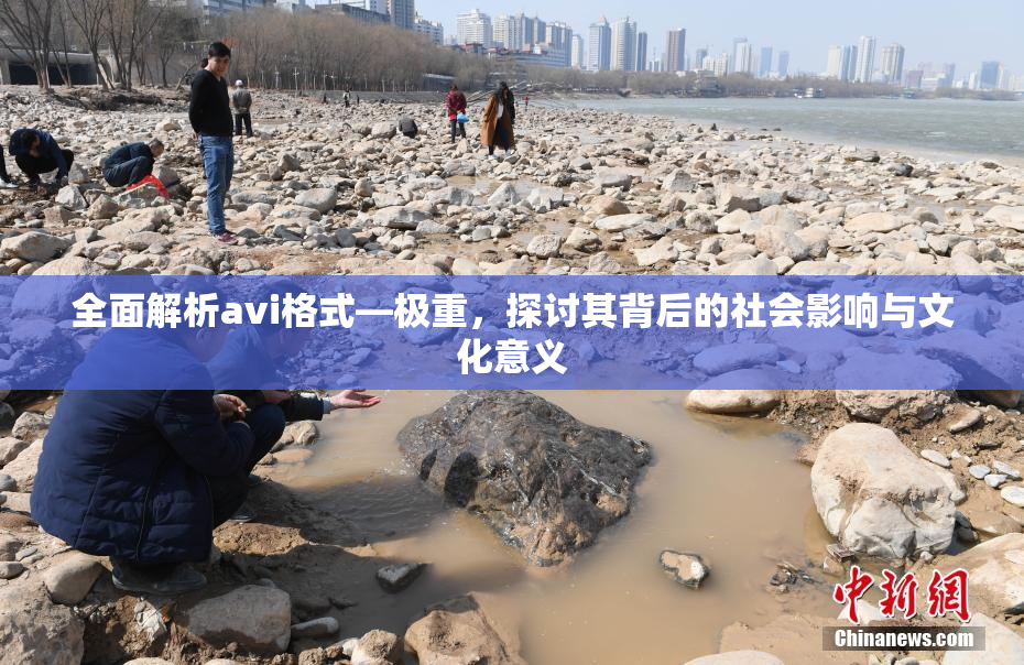 全面解析avi格式―极重，探讨其背后的社会影响与文化意义
