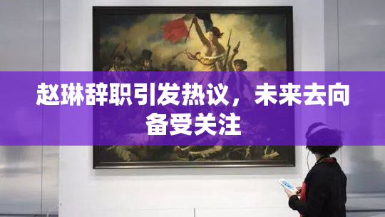 赵琳辞职引发热议，未来去向备受关注