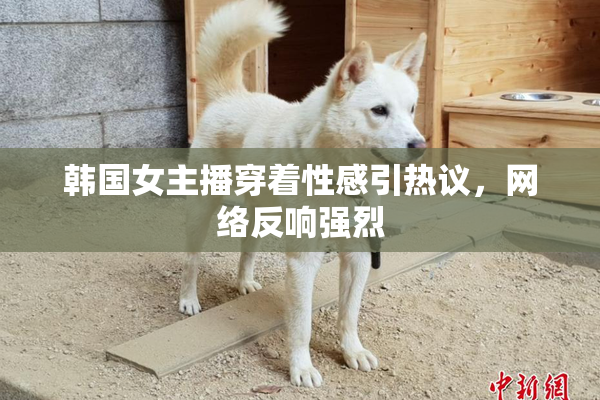 韩国女主播穿着性感引热议，网络反响强烈