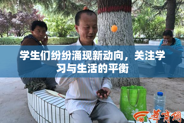 学生们纷纷涌现新动向，关注学习与生活的平衡