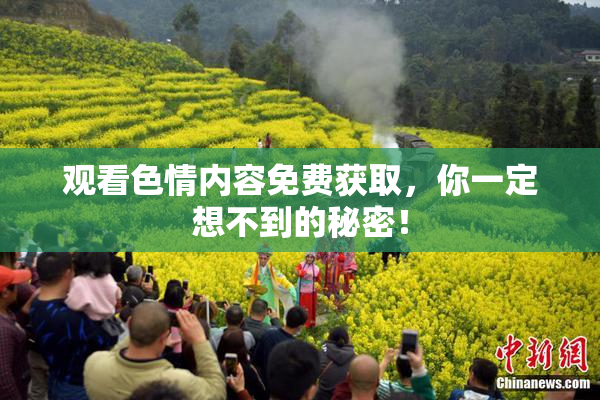 观看色情内容免费获取，你一定想不到的秘密！
