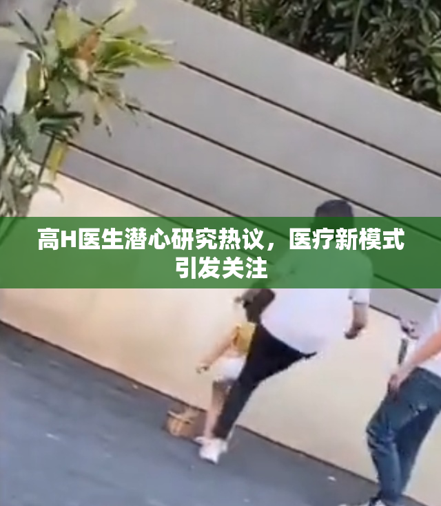 高H医生潜心研究热议，医疗新模式引发关注