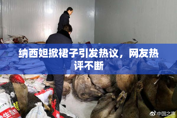 纳西妲掀裙子引发热议，网友热评不断
