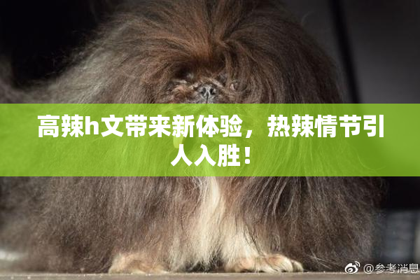 高辣h文带来新体验，热辣情节引人入胜！