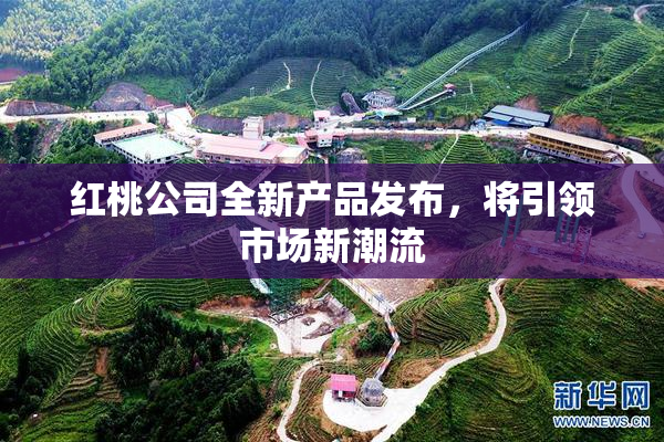 红桃公司全新产品发布，将引领市场新潮流