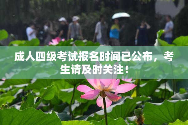成人四级考试报名时间已公布，考生请及时关注！
