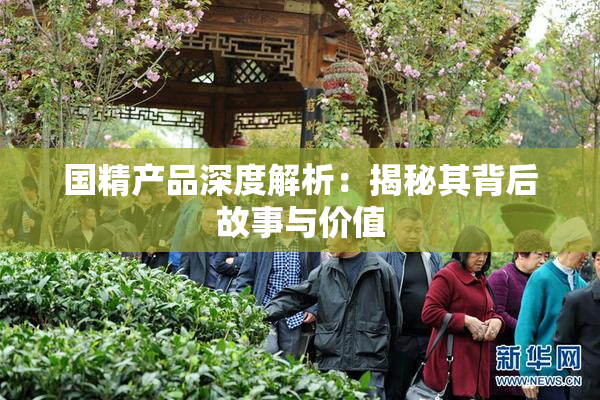 国精产品深度解析：揭秘其背后故事与价值