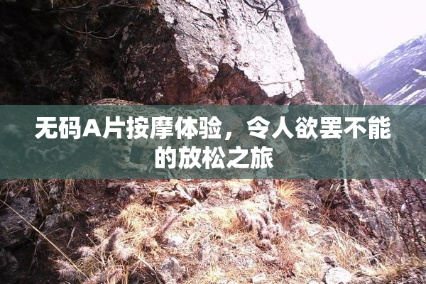 无码A片按摩体验，令人欲罢不能的放松之旅