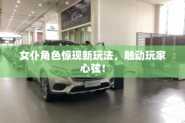 女仆角色惊现新玩法，触动玩家心弦！