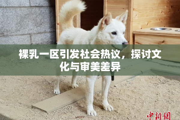裸乳一区引发社会热议，探讨文化与审美差异