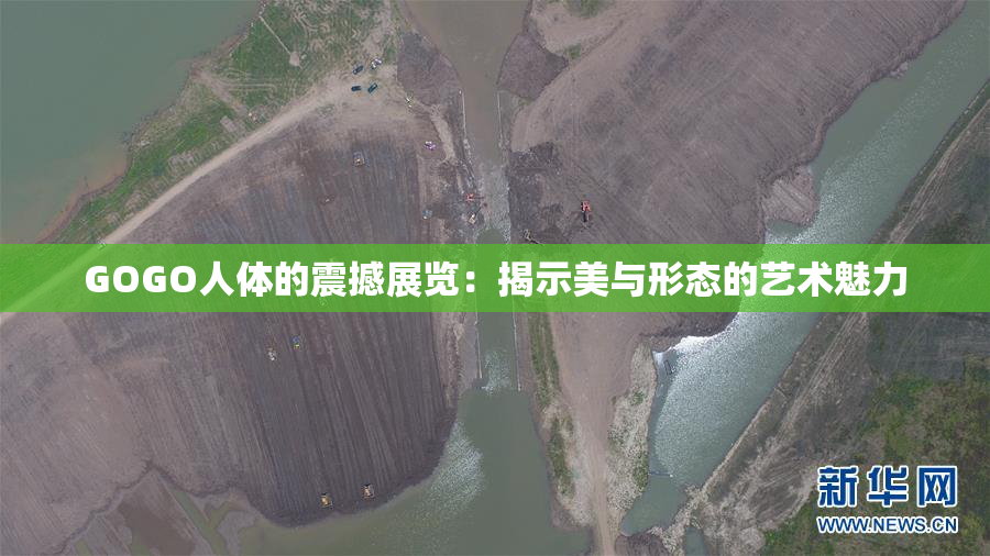 GOGO人体的震撼展览：揭示美与形态的艺术魅力