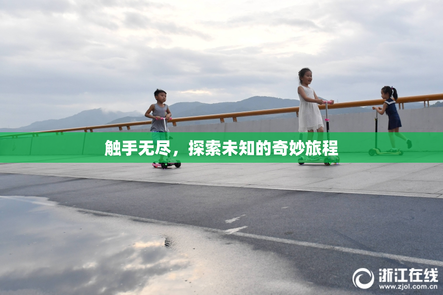 触手无尽，探索未知的奇妙旅程
