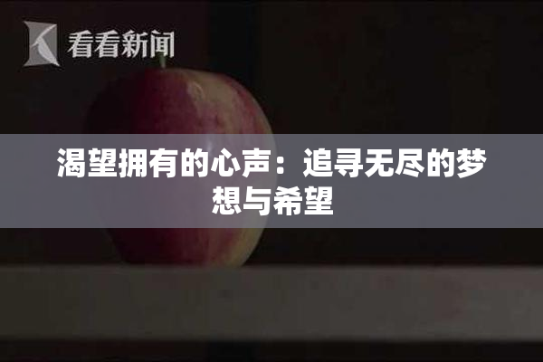 渴望拥有的心声：追寻无尽的梦想与希望