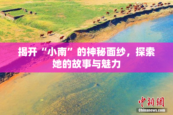 揭开“小南”的神秘面纱，探索她的故事与魅力