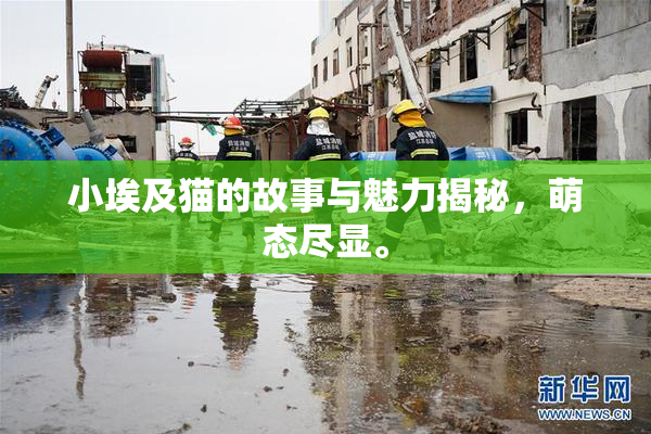 小埃及猫的故事与魅力揭秘，萌态尽显。