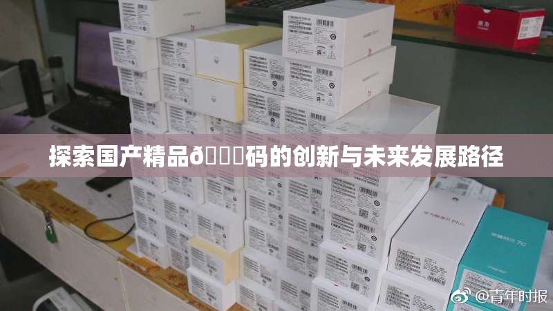 探索国产精品🈚码的创新与未来发展路径