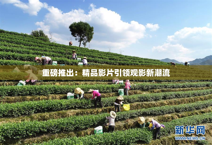 重磅推出：精品影片引领观影新潮流