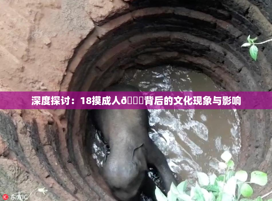 深度探讨：18摸成人🍆背后的文化现象与影响