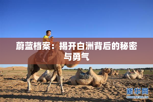 蔚蓝档案：揭开白洲背后的秘密与勇气