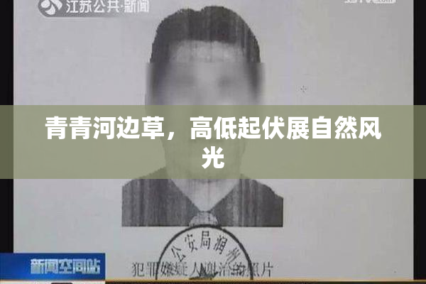 青青河边草，高低起伏展自然风光