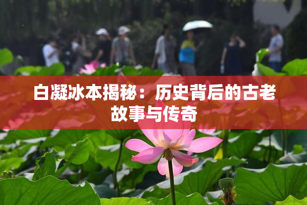 白凝冰本揭秘：历史背后的古老故事与传奇