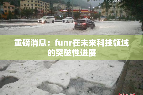 重磅消息：funr在未来科技领域的突破性进展