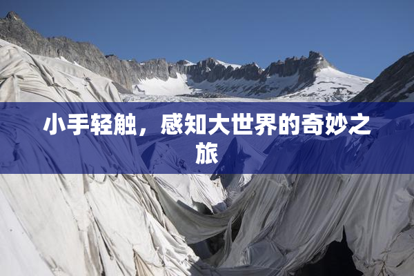 小手轻触，感知大世界的奇妙之旅
