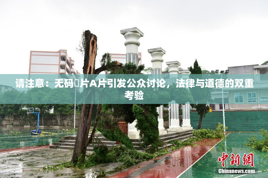 请注意：无码婬片A片引发公众讨论，法律与道德的双重考验