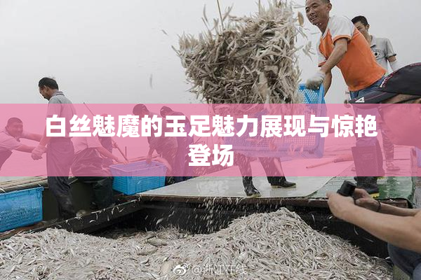 白丝魅魔的玉足魅力展现与惊艳登场